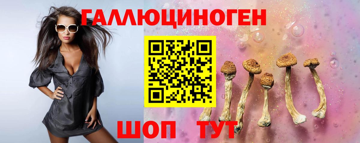 Балахна  Псилоцибиновые грибы мицелий  Вход с VPN 